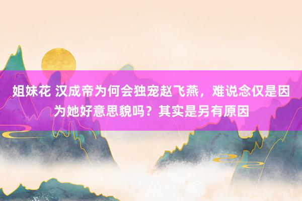 姐妹花 汉成帝为何会独宠赵飞燕，难说念仅是因为她好意思貌吗？其实是另有原因
