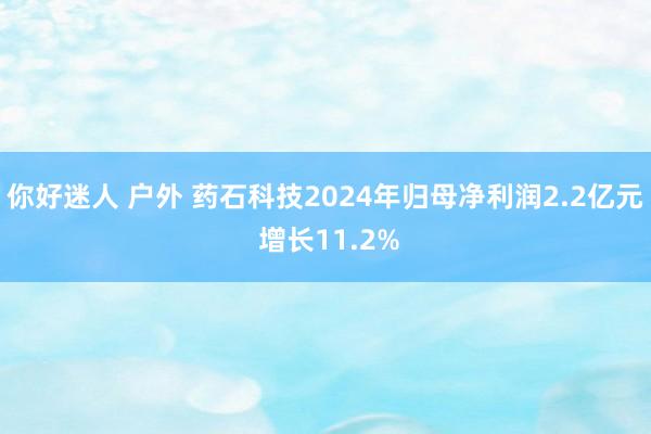 你好迷人 户外 药石科技2024年归母净利润2.2亿元 增长11.2%