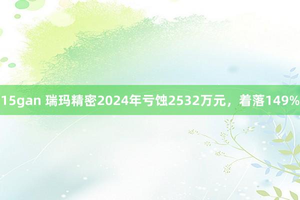 15gan 瑞玛精密2024年亏蚀2532万元，着落149%
