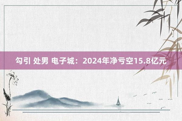 勾引 处男 电子城：2024年净亏空15.8亿元
