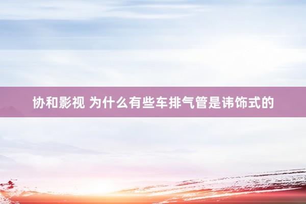 协和影视 为什么有些车排气管是讳饰式的