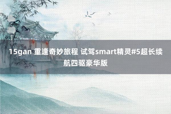 15gan 重逢奇妙旅程 试驾smart精灵#5超长续航四驱豪华版
