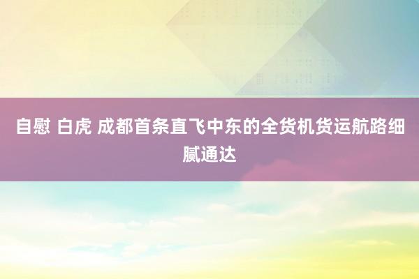 自慰 白虎 成都首条直飞中东的全货机货运航路细腻通达