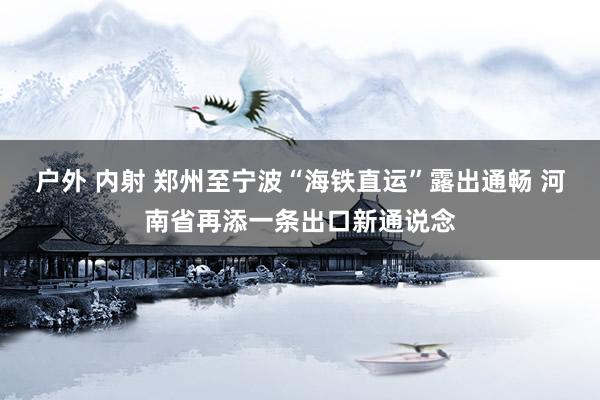 户外 内射 郑州至宁波“海铁直运”露出通畅 河南省再添一条出口新通说念