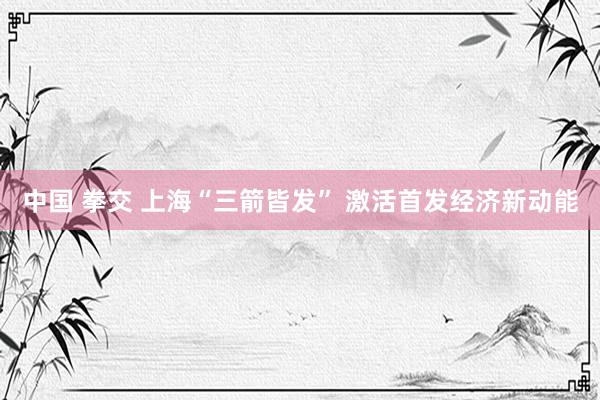 中国 拳交 上海“三箭皆发” 激活首发经济新动能