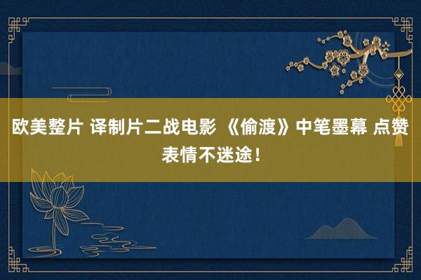 欧美整片 译制片二战电影 《偷渡》中笔墨幕 点赞表情不迷途！