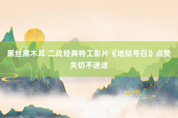 黑丝黑木耳 二战经典特工影片《地狱号召》点赞关切不迷途